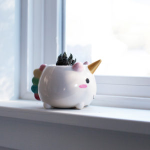 Mini vaso da fiori Unicorno