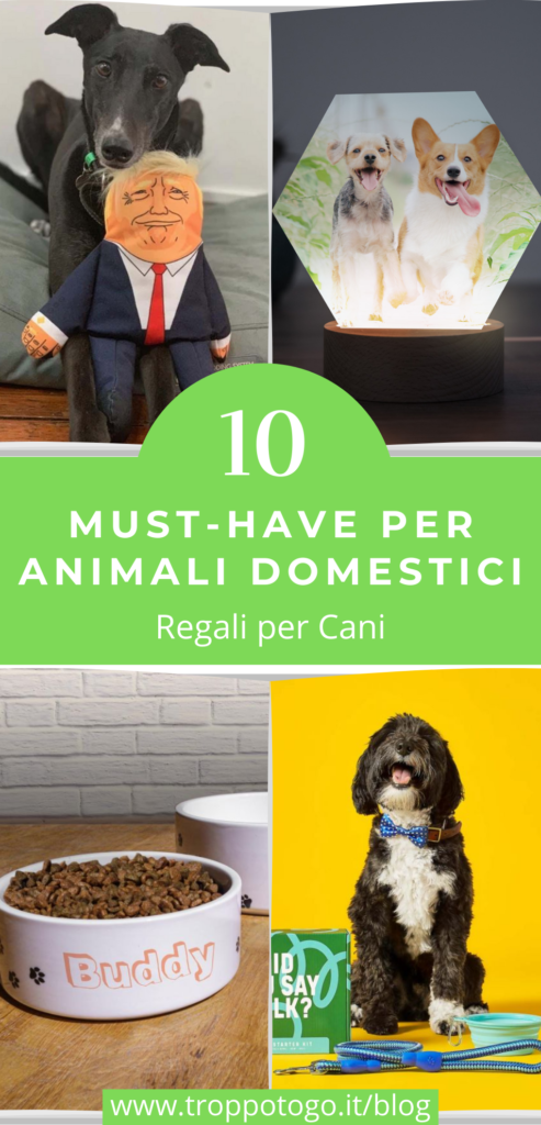 animale domestico