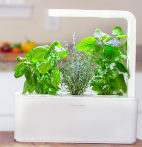 giardino smart