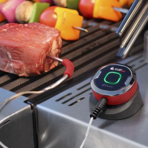 igrill-mini-smartphone