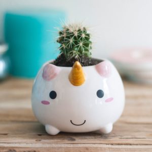 Mini Vaso da fiori unicorno