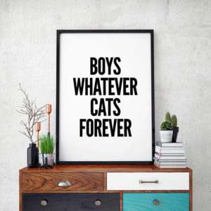 decorazioni natalizie .- poster
