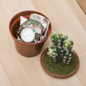 Mini Cassaforte Cactus