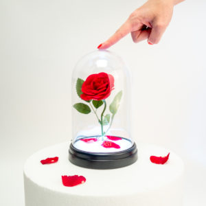 La Bella e La Bestia: Lampada Rosa Incantata
