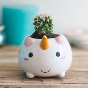 Mini vaso da fiori Unicorno