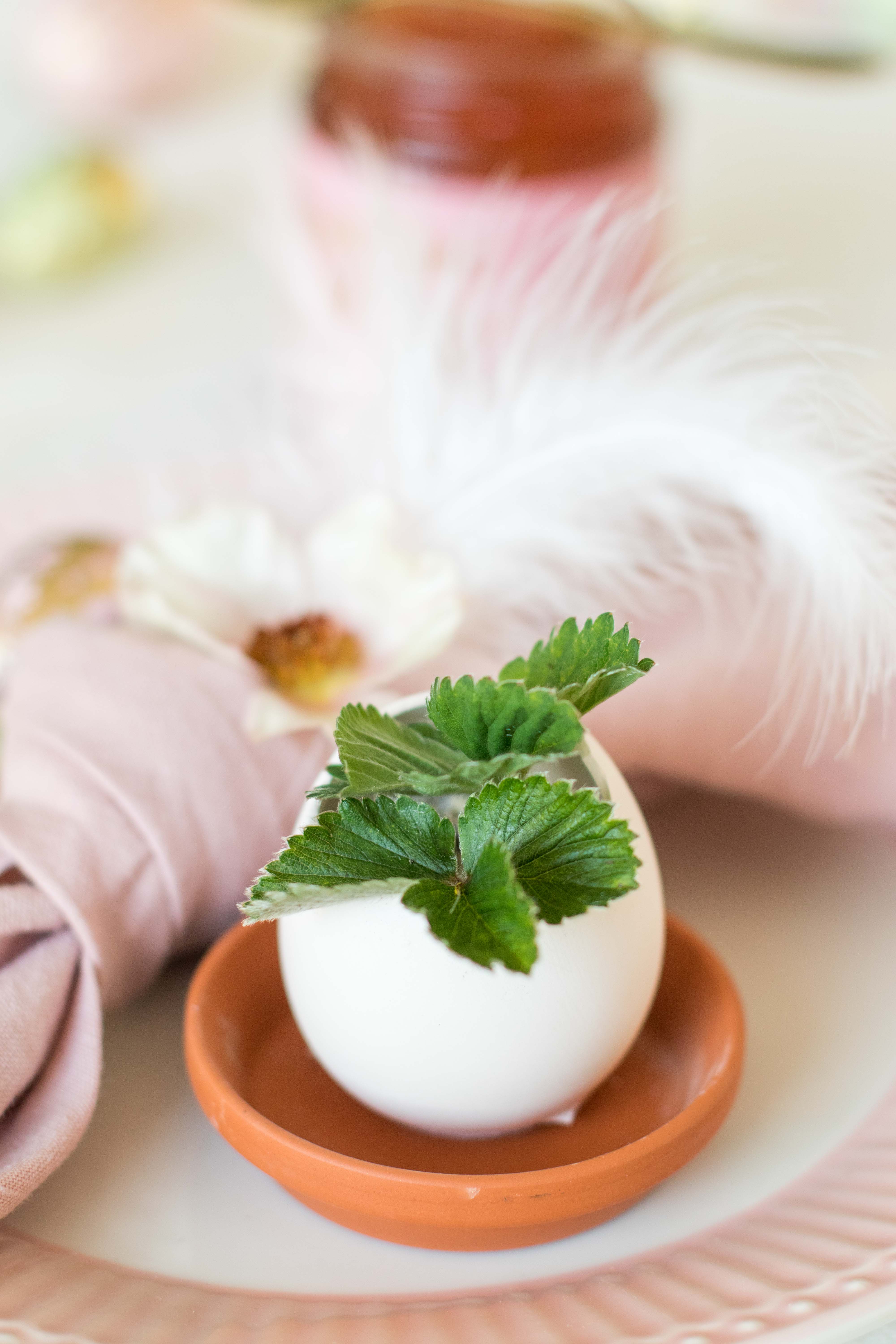 Decorazioni brunch di Pasqua