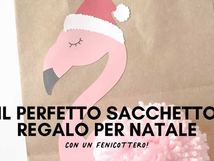 sacchetto regalo