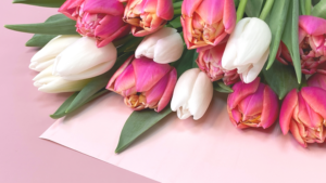 tulipani in vaso