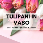 tulipani in vaso