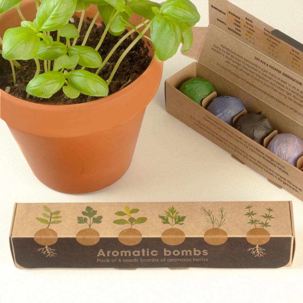 Bombe di Semi di Erbe in Confezione da 6 Pezzi