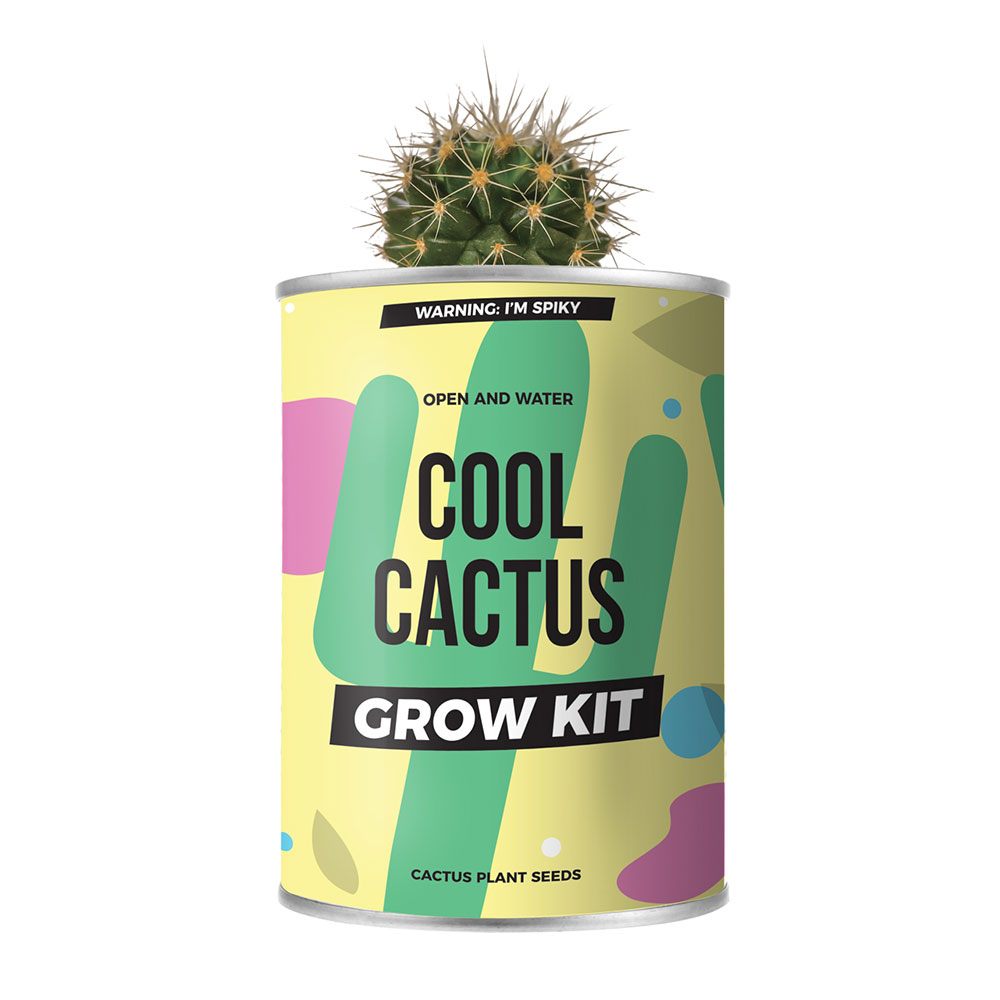 Cactus in Lattina