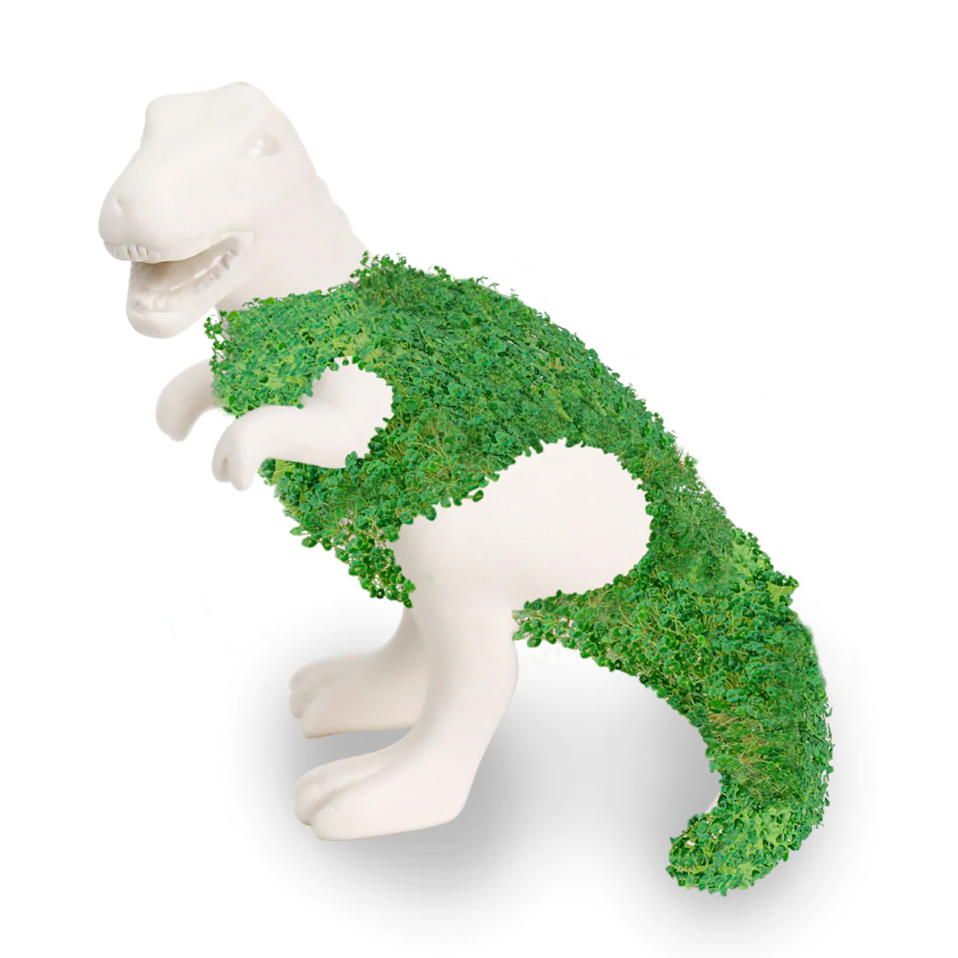 Dinosauro con Semi di Chia