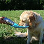 Borraccia per Cani