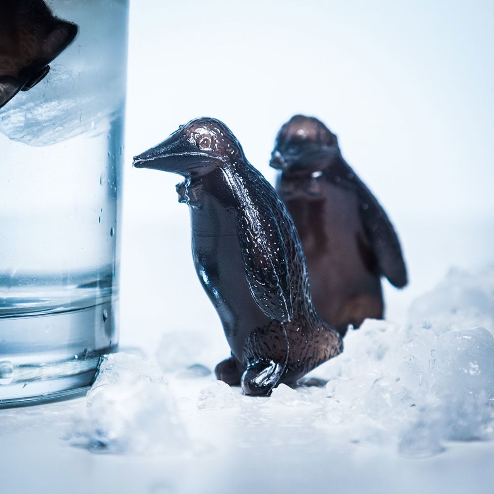 Pinguini Refrigeranti