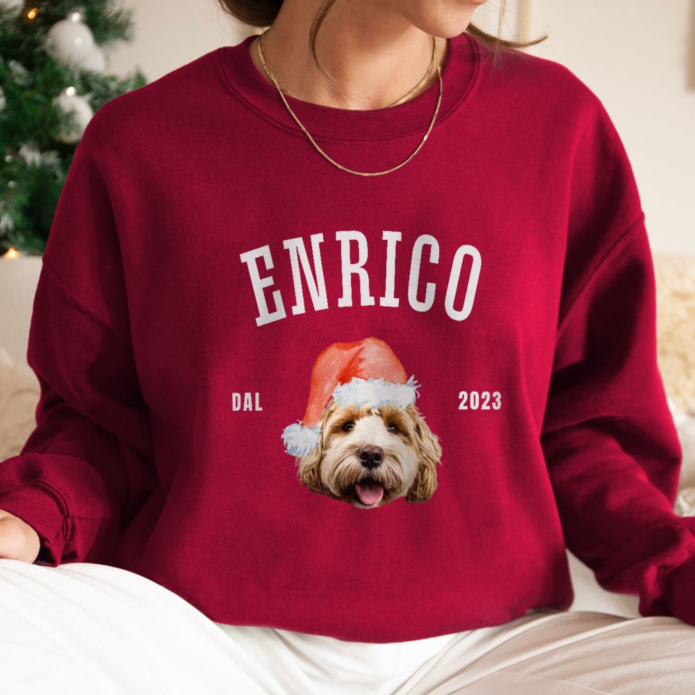 Personalisierbarer Pullover mit Haustier und Weihnachtsmütze