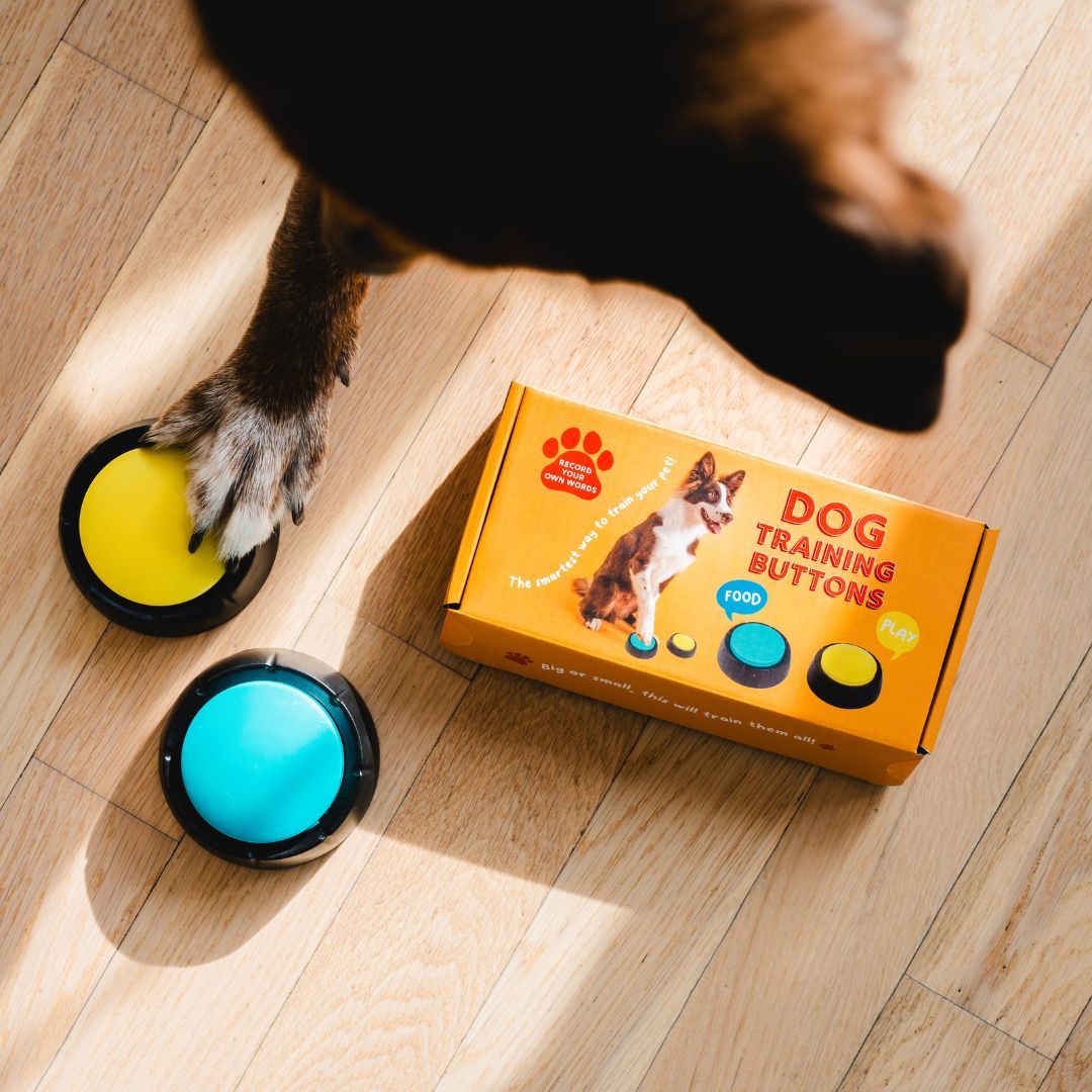 Pulsanti Parlanti Per Cani LUFEIS - 4 Bottoni Registrabili Per Addestramento E Giochi Interattivi - Foto 9
