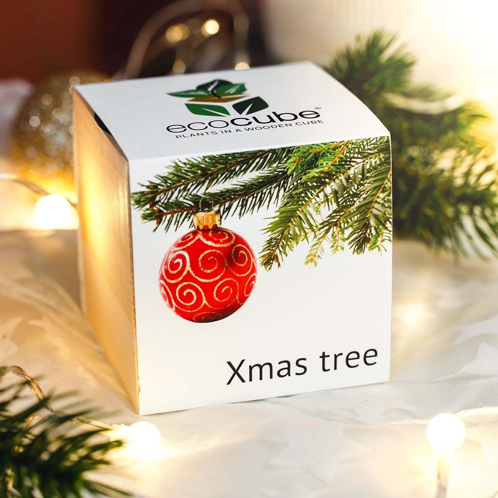 Ecocube - Piante in Cubi di Legno
