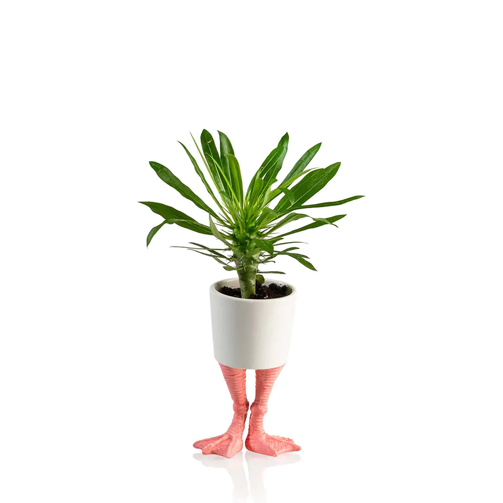 Vaso di Fiori Divertente con Piedi di Fenicottero