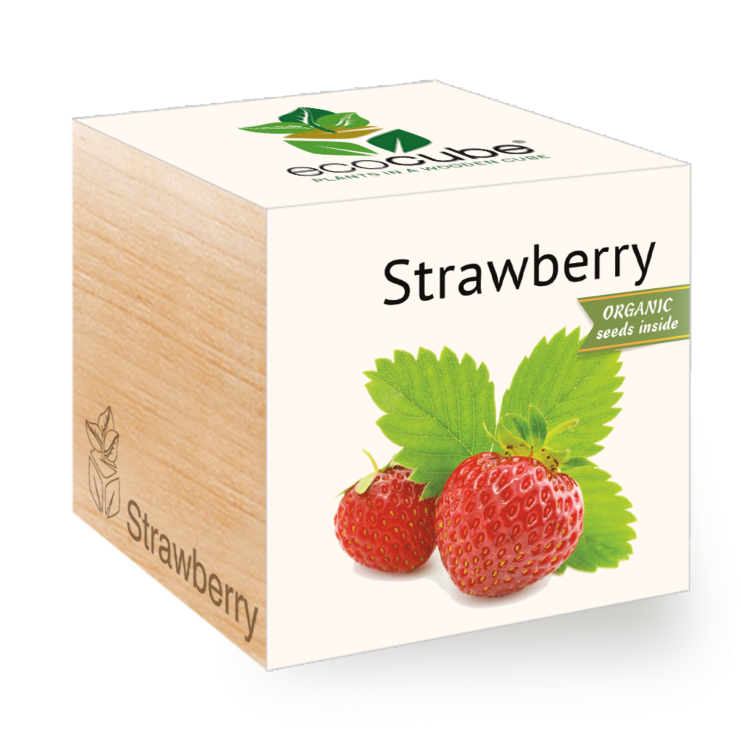 Fragola - Ecocube piante in cubi di legno