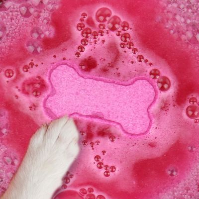 Bomba da Bagno per Cani