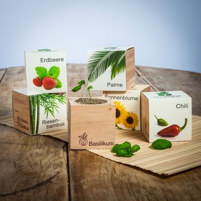 regali di natale ecocube piante in cubi di legno