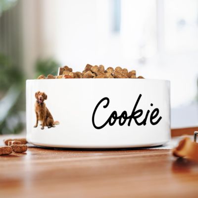 Ciotola per Cani Personalizzata con Foto e Nome