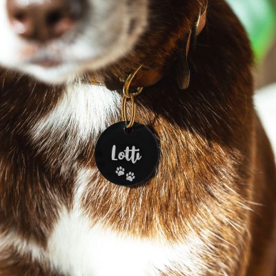 Medaglietta per Cani Personalizzata con Nome