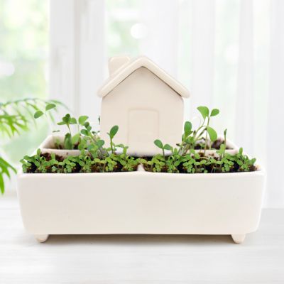 Casetta delle Piante con Auto-irrigazione