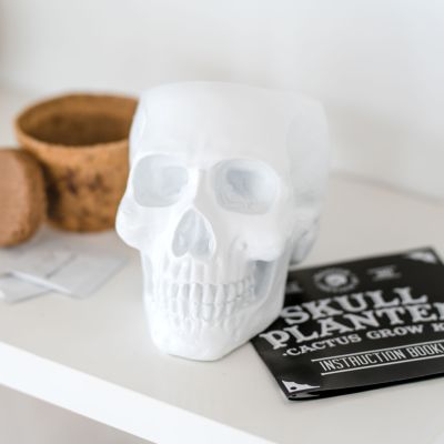 Set di Piante con Vaso a forma di Teschio