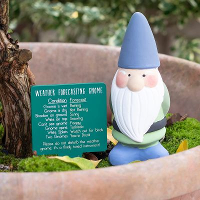 Nano da Giardino con Previsioni del Tempo Nano da Giardino con Previsioni del Tempo