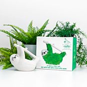 Bradipo con Semi di Chia