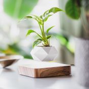 Vaso per Piante di Design Fluttuante