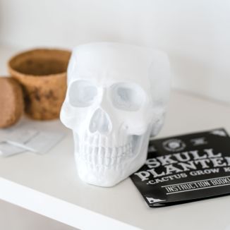 Set di Piante con Vaso a forma di Teschio