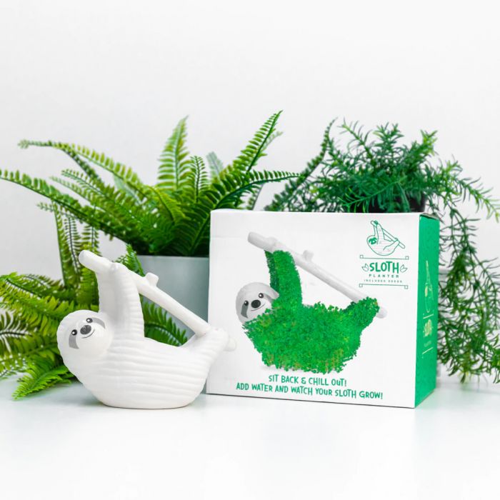 Bradipo con Semi di Chia main product photo