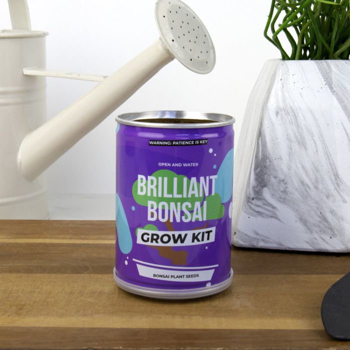 Bonsai in Lattina main product photo