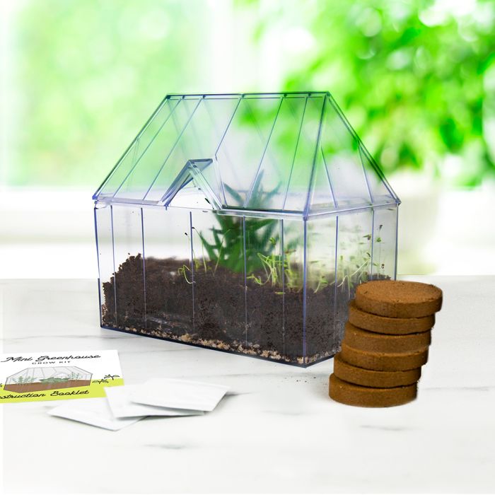 Mini Serra con Set di Erbe Aromatiche main product photo