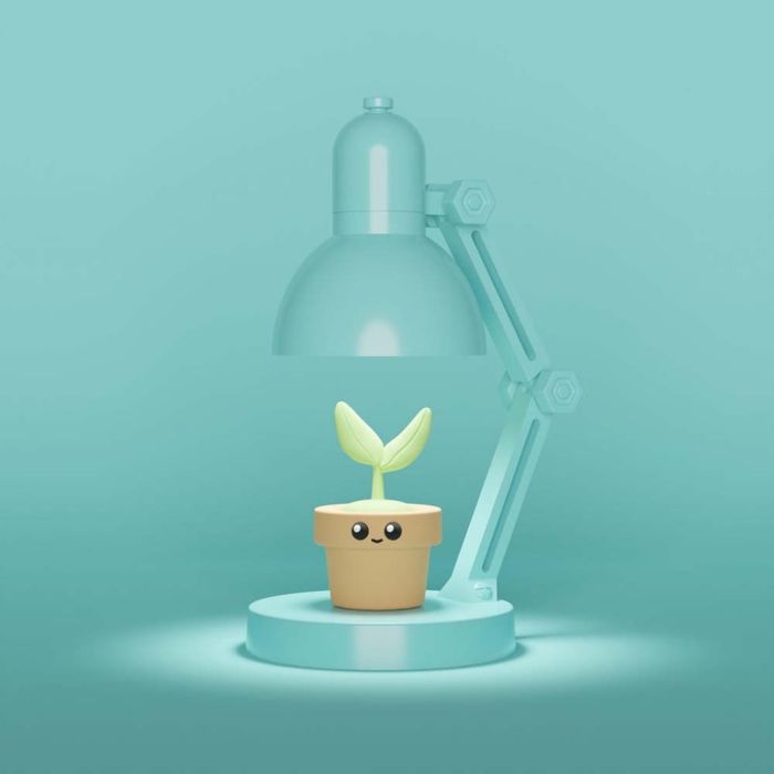 Mini Lampada con Piantina
