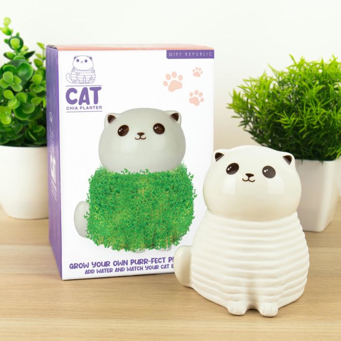 Il Gattino verde