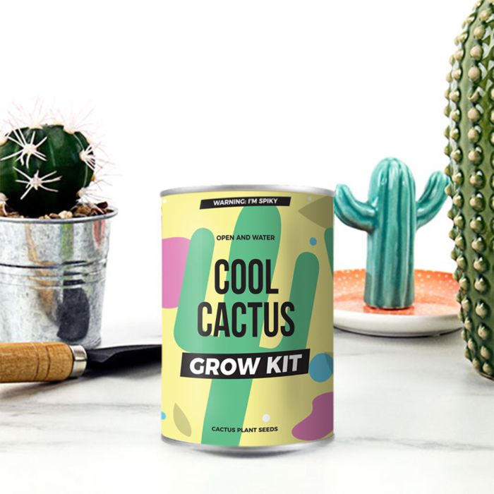 Cactus in Lattina