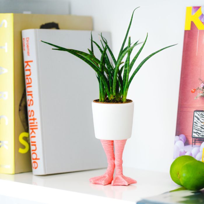 Vaso di Fiori Divertente con Piedi di Fenicottero