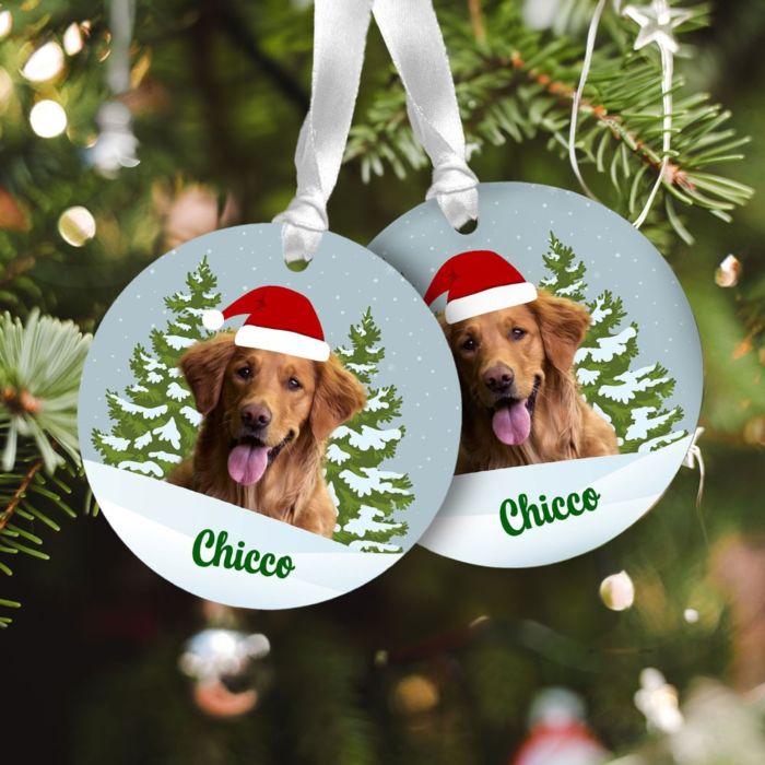 Pendente in Acrilico Personalizzato con Animale Domestico e Nome - Set da 2