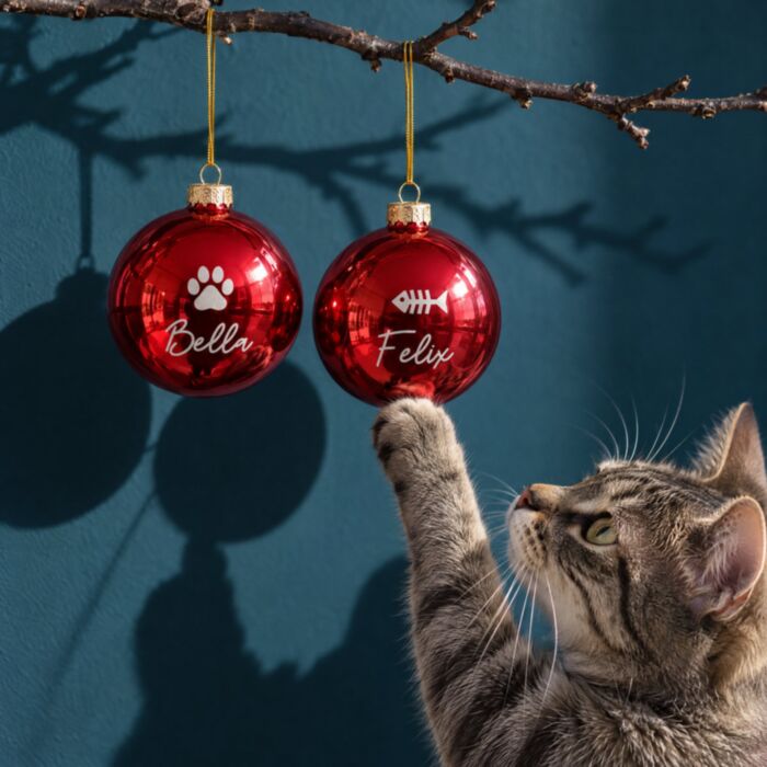 Palline di Natale Personalizzate con Animale domestico – Set da 2