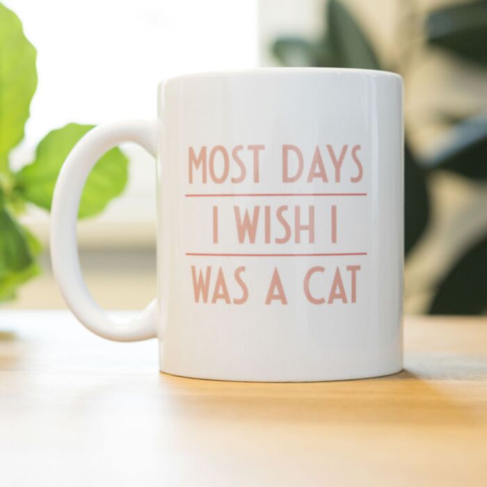 Most Days I Wish... Tazza