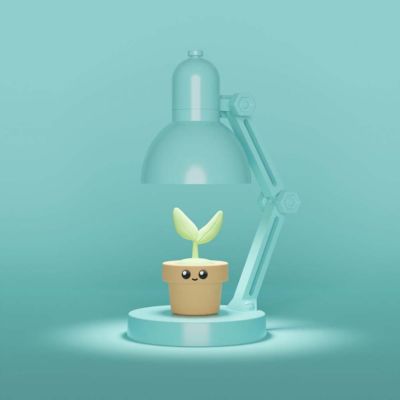Mini Lampada con Piantina