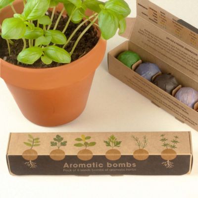 Bombe di Semi di Erbe in Confezione da 6 Pezzi