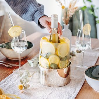 Ice Cooler - Cestello per Ghiaccio Creativo