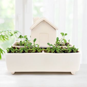 Casetta delle Piante con Auto-irrigazione