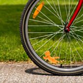 Gattino in bicicletta Kordula