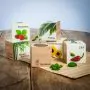 Ecocube - piante in cubi di legno