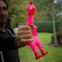 Il Pollo Anti-Stress Urlante